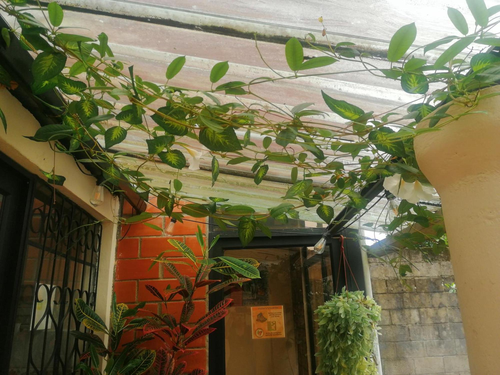 Home Capybara Stay Mindo Exterior photo